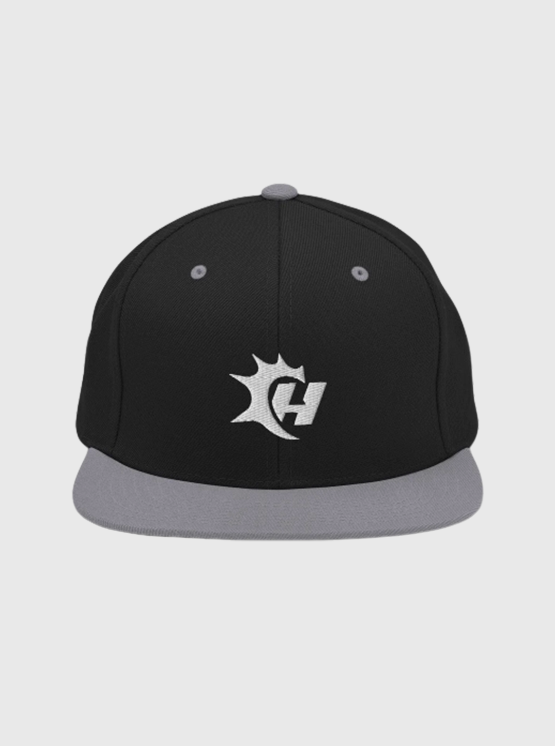 GORRA VISERA PLANA 2